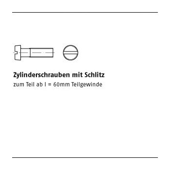 1000 Stück DIN 84 A2 Zylinderschrauben mit Schlitz M3x8 mm