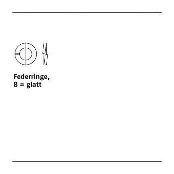 100 Stück DIN 127 Federstahl Form B Federringe glatt B 22 mm