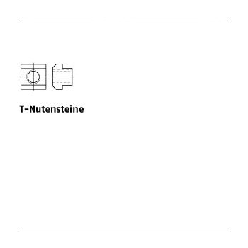 25 Stück DIN 508 10 T Nutensteine M5x6x10 mm