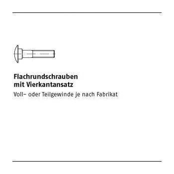 100 Stück DIN 603 A2 Flachrundschrauben mit Vierkantansatz M6x100 mm