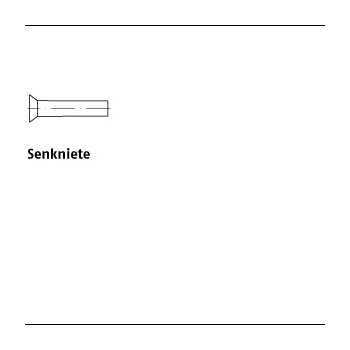 250 Stück DIN 661 Stahl Senkkopfniete 8x20 mm