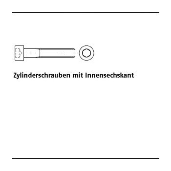 500 Stück DIN 912 10.9 Zylinderschrauben mit Innensechskant M4x22 mm