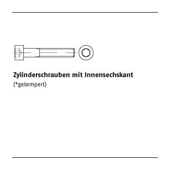 100 Stück DIN 912 10.9 galvanisch verzinkt Zylinderschrauben mit Innensechskant M5x110 mm