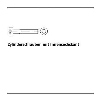 100 Stück DIN 912 8.8 Zylinderschrauben mit Innensechskant M12x22 mm