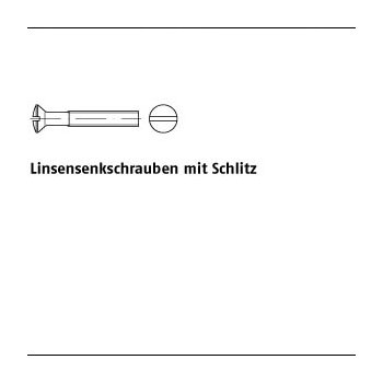 200 Stück DIN 964 Messing Linsenkopfschrauben mit Schlitz M4x25   mm