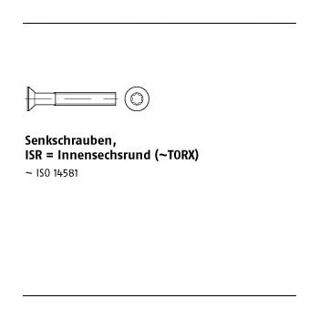 2000 Stück DIN 965 4.8 ISR galvanisch verzinkt Senkkopfschrauben mit Innensechsrund (TORX) M3x6 T10 mm