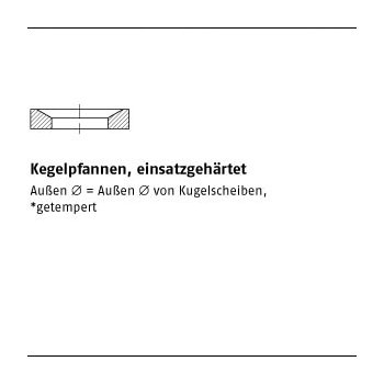 50 Stück DIN 6319 Stahl Form D galvanisch verzinkt Kegelpfannen einsatzgehärtet D 142x24x5 mm