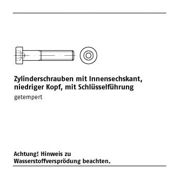 200 Stück DIN 6912 010.9 galvanisch verzinkt Zylinderschrauben mit Innensechskant niedriger Kopf mit Schlüsselführung M8x16 mm