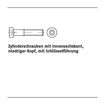 100 Stück DIN 6912 08.8 Zylinderschrauben mit Innensechskant niedriger Kopf mit Schlüsselführung M8x100 mm