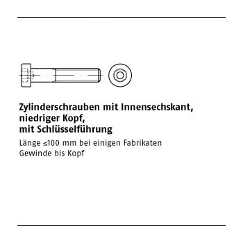 100 Stück DIN 6912 A2 Zylinderschrauben mit Innensechskant niedriger Kopf mit Schlüsselführung M6x60 mm