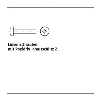 2000 Stück ISO 7045 4.8 Z galvanisch verzinkt Linsenschrauben mit Pozidriv Kreuzschlitz Z M25x4 Z mm