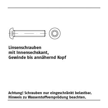 500 Stück ISO 7380 1 010.9 galvanisch verzinkt Flachkopfschrauben mit Innensechskant Gewinde bis annähernd Kopf M3x6 mm