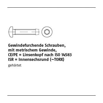 1000 Stück DIN 7500 Stahl Form CE ISR/PE galvanisch verzinkt Gewindefurchende Schrauben ISR metr. Gewinde Linsenkopf nach ISO 14583 CEM5x20 T25 mm