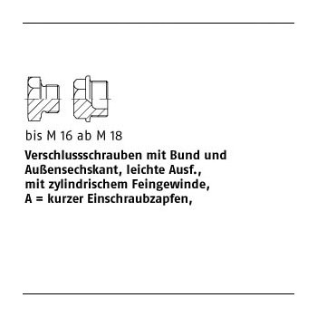 100 Stück DIN 7604 Stahl Form A galvanisch verzinkt Verschlussschrauben mit Bund und Ask. leichte Ausführung mit zyl. Fein Gew. AM10x1 mm