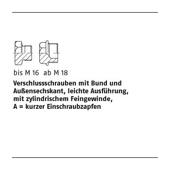 1 Stück DIN 7604 A4 Form A Verschlussschrauben mit Bund und Ask. leichte Ausführung mit zyl. Fein Gew. AM16x15 mm