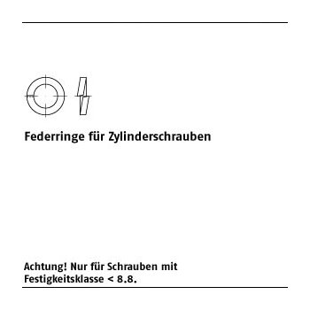 100 Stück DIN 7980 Federstahl Federringe für Zylinderschrauben 12   mm