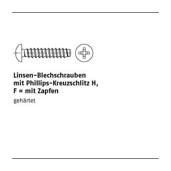 1000 Stück DIN 7981 Stahl Form F galvanisch verzinkt Linsen Blechschrauben mit Zapfen mit Phillips Kreuzschlitz H F 4,2x22 H mm