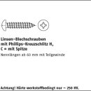 100 Stück DIN 7981 A2 Form C H Linsen Blechschrauben...