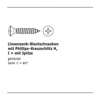 2000 Stück DIN 7983 Stahl geh. Form C H galvanisch verzinkt Linsenkopf Blechschrauben mit Spitze mit Phillips Kreuzschlitz H C 2,9x6,5 H mm