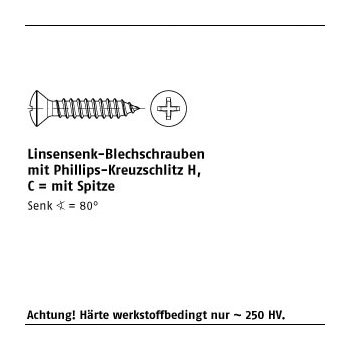 1000 Stück DIN 7983 A2 Form C H Linsenkopf Blechschrauben mit Spitze mit Phillips Kreuzschlitz H C 2,9x9,5 H mm