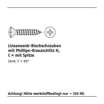 1000 Stück DIN 7983 A2 Form C H Linsenkopf Blechschrauben mit Spitze mit Phillips Kreuzschlitz H C 2,9x13 H mm