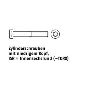 500 Stück DIN 7984 08.8 ISR galvanisch verzinkt Zylinderschrauben mit Innensechsrund niedriger Kopf (TORX) M3x8 T10 mm