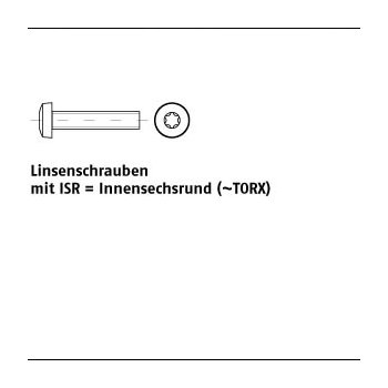 1000 Stück DIN 7985 4.8 ISR galvanisch verzinkt Linsenschrauben mit Innensechsrund (TORX) M3x30 T10 mm