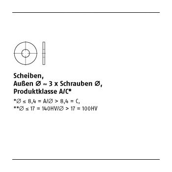 DIN 9021 galv. verzinkt 17x50x3 mm 100 Stück