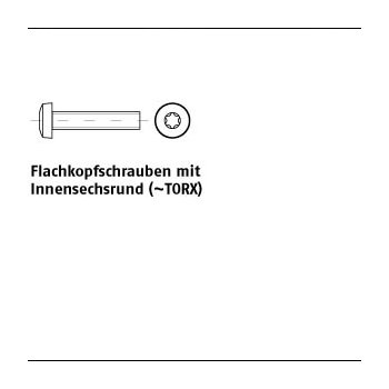 1000 Stück ISO 14583 4.8 galvanisch verzinkt Flachkopfschrauben mit Innensechsrund (TORX) M4x25 mm