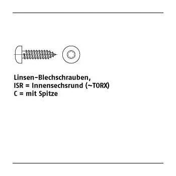 1000 Stück ISO 14585 A2 Form C  ISR Flachkopf Blechschrauben mit Spitze mit Innensechsrund (TORX) 2,9x13 C mm