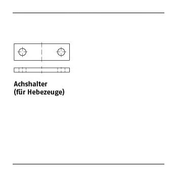 25 Stück DIN 15058 Stahl Achshalter (für Hebezeuge) 40x10 mm