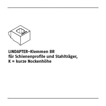 1 Stück Temperguss BR K galvanisch verzinkt LINDAPTER Klemmen BR für Schienenprofile und Stahlträger kurze Nockenhöhe BR 16 / 60 mm