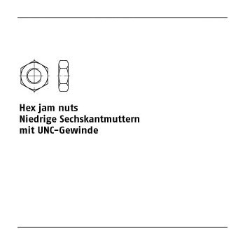 50 Stück ASME B 18.2.2 Grade 5 (04) UNC HexjaMnuts Niedrige Sechskantmu. mit UNC Gewinde 5/16 mm