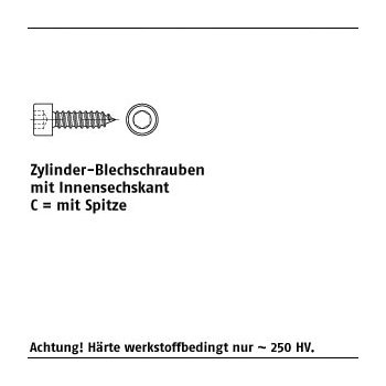 200 Stück A2 Form C Zylinder Blechschrauben mit Innensechskant mit Spitze C 6,3x70 mm