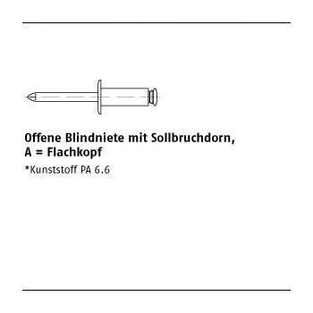 500 Stück Niet Kunststoff A Dorn Kunststoff Offene Blindniete mit Sollbruchdorn Flachkopf 5x8 mm