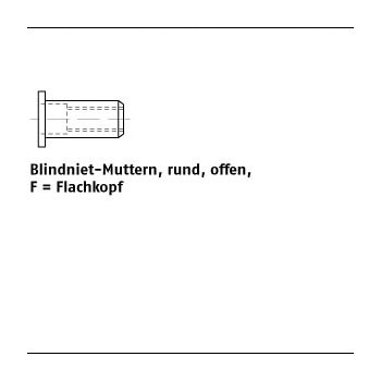 250 Stück Stahl F galvanisch verzinkt Blindniet Muttern rund offen Flachkopf M6 /025 35 mm