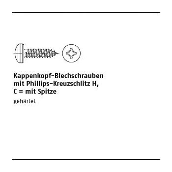 1000 Stück tahl88981 galvanisch verzinkt Kappenkopf Blechschrauben mit Phillips Kreuzschlitz H mit Spitze 39x19 H mm