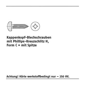 1000 Stück 288981 Kappenkopf Blechschrauben mit Phillips Kreuzschlitz H mit Spitze 39x95 H mm