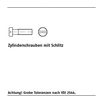 200 Stück DIN 84 Kunststoff Polyamid Zylinderschrauben mit Schlitz M25x10 mm